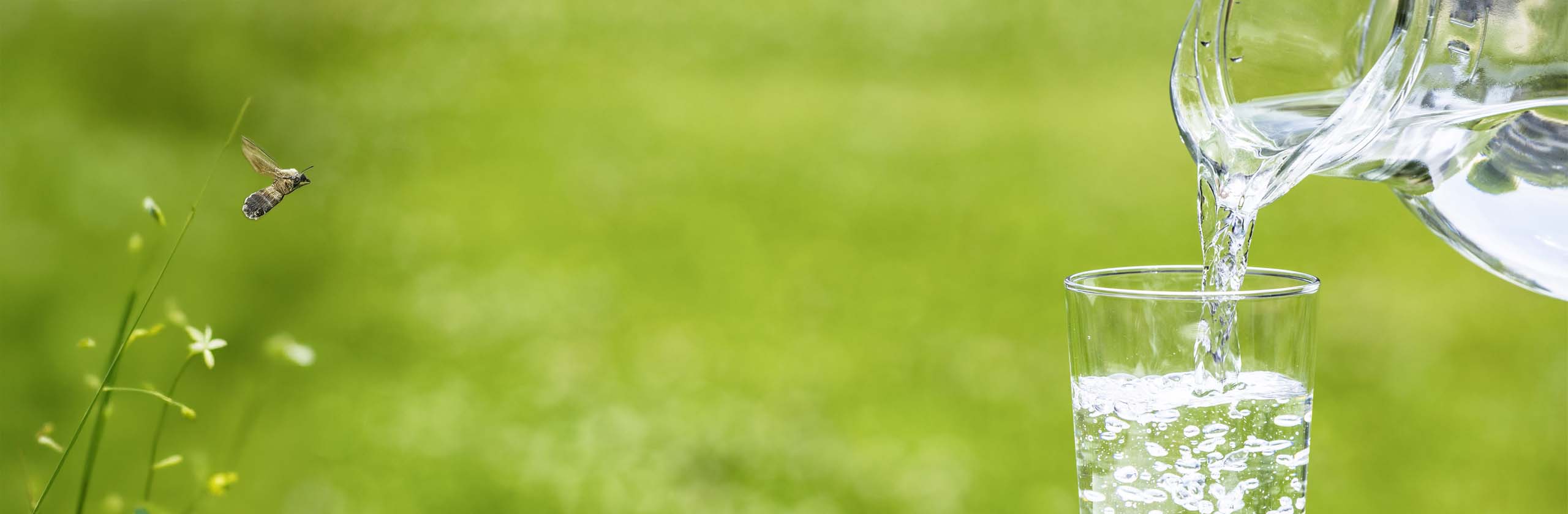 Kopfzeilenbild, dekorativer Zweck - Wasser ist gesund